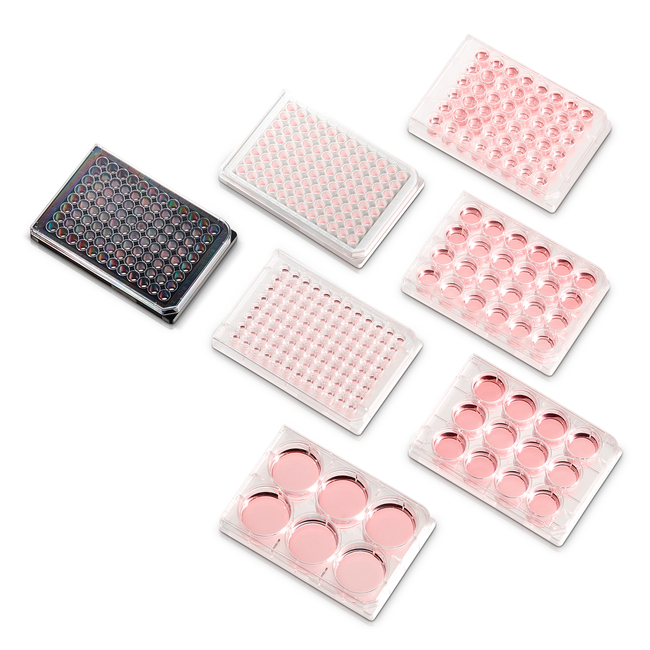 BioLite 多孔培养皿和 Microwell 微孔板