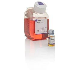 B-27™ Plus Neuronal Culture System