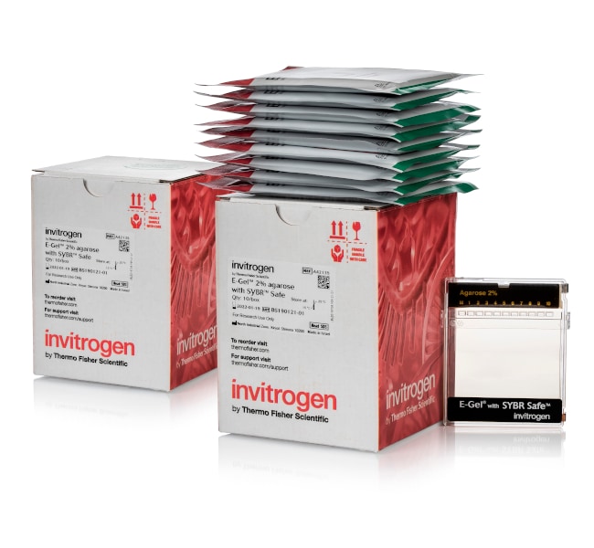 EGel™ Agarose Gels with SYBR™ Safe DNA Gel Stain, 2
