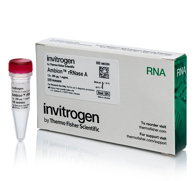 Ambion&trade; 重组 RNase A