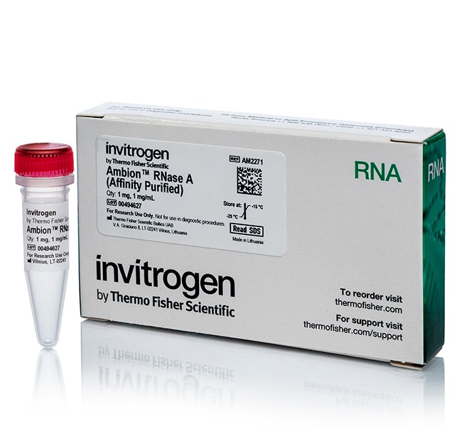 Ambion&trade; RNase A、亲和纯化、1mg/mL