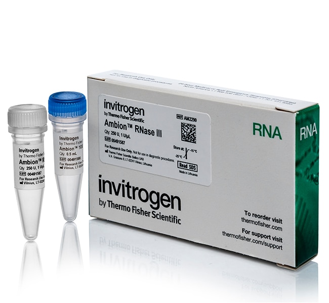 Ambion&trade; RNase III