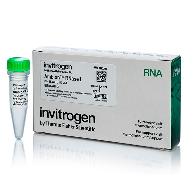 Ambion&trade; RNase I、克隆、100 U/&micro;L