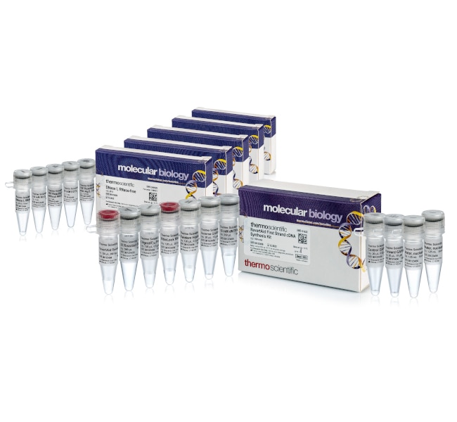 RevertAid™ First Strand cDNA Synthesis Kit, with DNase I