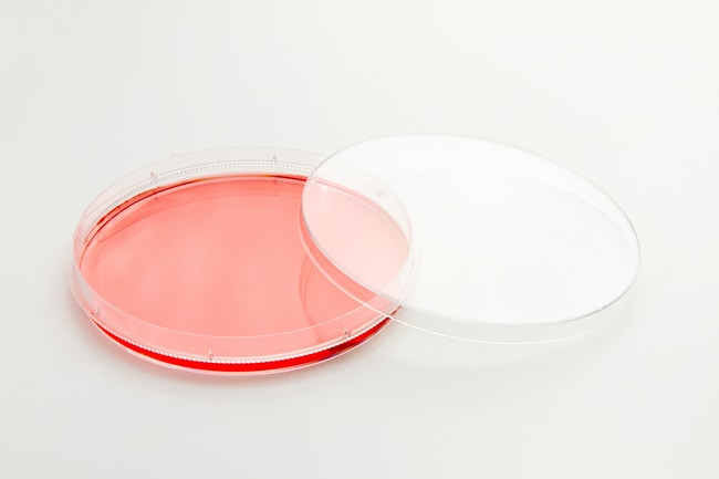 Nunc™ EasYDish™ 培养皿