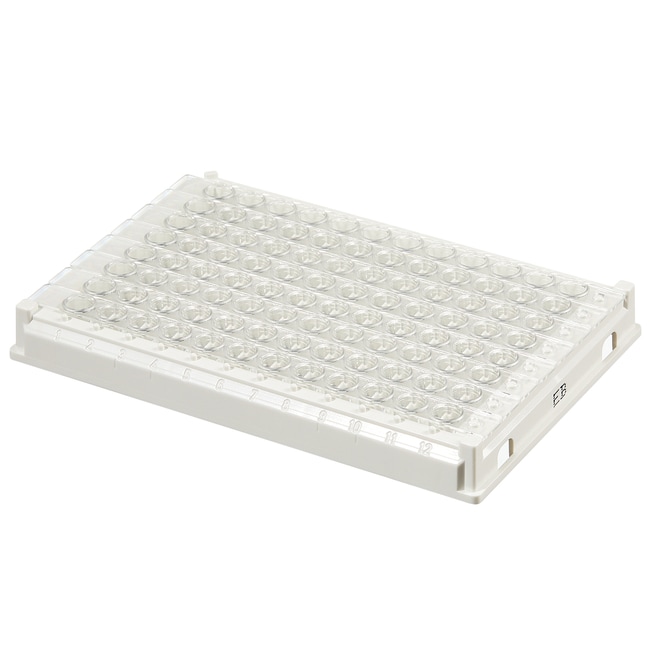 Strip Assembly, 1 x 12, EB