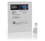 SYTOX&trade; Red Dead Cell Stain, for 633 or 635 nm excitation