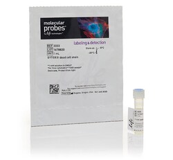 SYTOX&trade; Red Dead Cell Stain, for 633 or 635 nm excitation