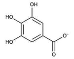 Gallic Acid
