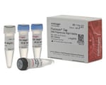 高保真 PCR 试剂和试剂盒