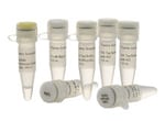 标准 PCR 试剂和试剂盒