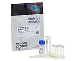 抗体生产和纯化试剂和试剂盒