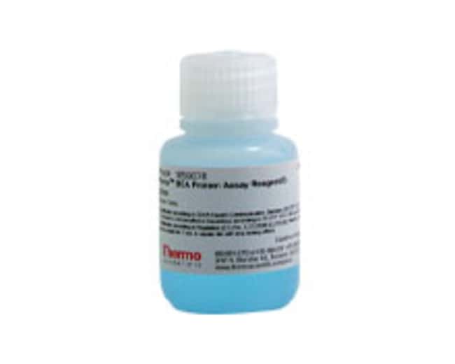 ▲専用▲ 23209-BSA-Standards.jpg-650.jpg