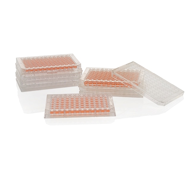Nunc™ MicroWell™ 96 孔,经 Nunclon Delta 处理,平底微孔板