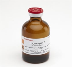 Hygromycin B (50 mg/mL)