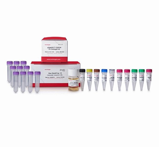 pOptiVEC&trade;-TOPO&trade; TA Cloning&trade; 试剂盒