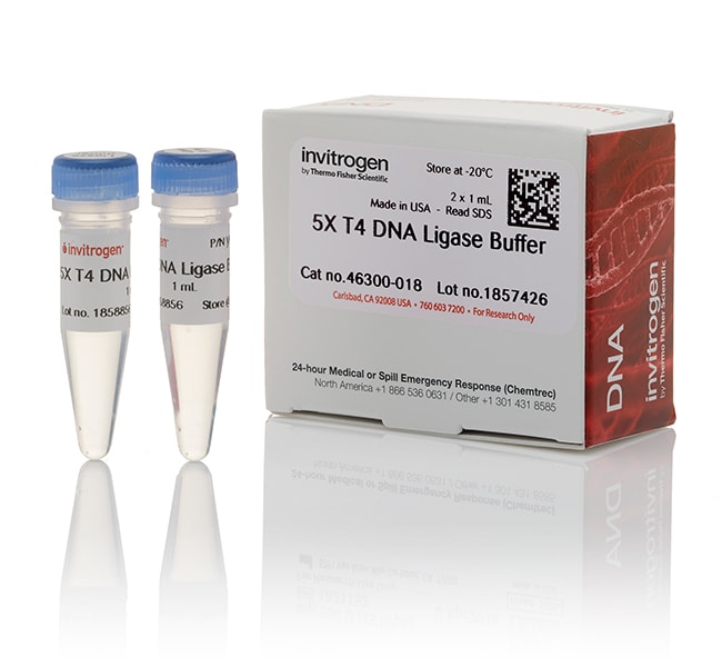 T4 DNA 连接酶缓冲液