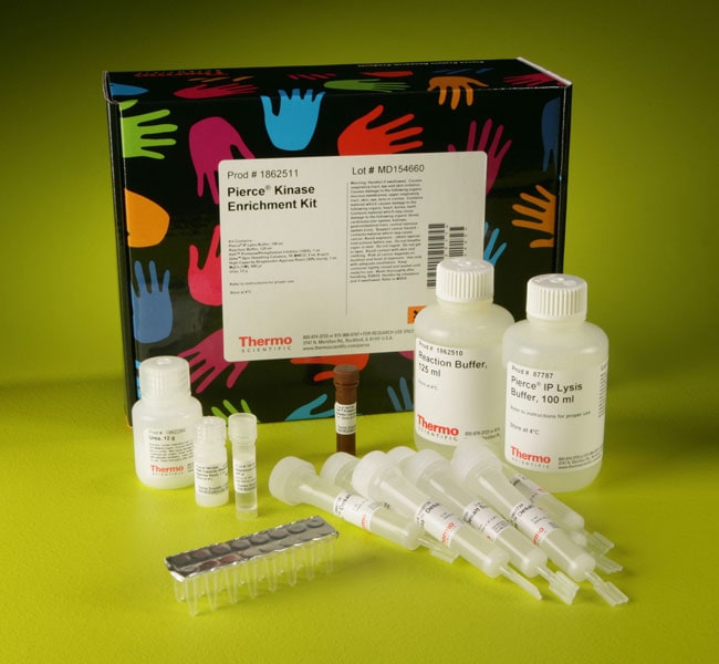 Pierce™ Kinase 富集试剂盒（带有 ATP 探针）