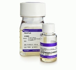 StemPro™ Chondrogenesis Differentiation Kit