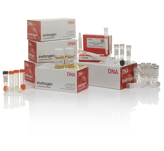 CloneMiner&trade; II cDNA 文库构建试剂盒