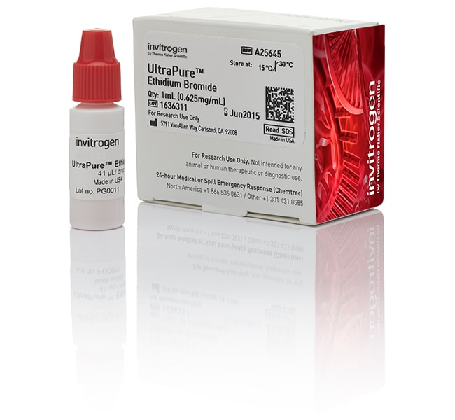 UltraPure™ 溴化乙锭,0.625 mg/mL