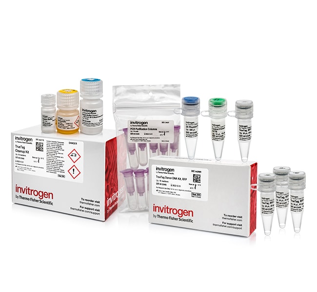 TrueTag&trade; 供体 DNA 试剂盒，RFP