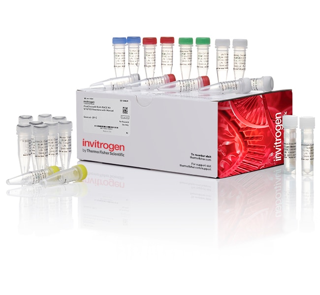 FirstChoice&trade; RLM-RACE 试剂盒（含手册）