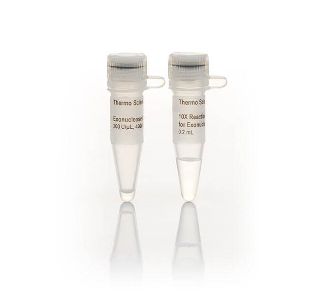 Exonuclease III (200 U/&micro;L)