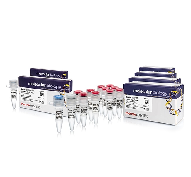Phusion&trade; 高保真 DNA 聚合酶及 dNTP 混合物（每种 10 mM）