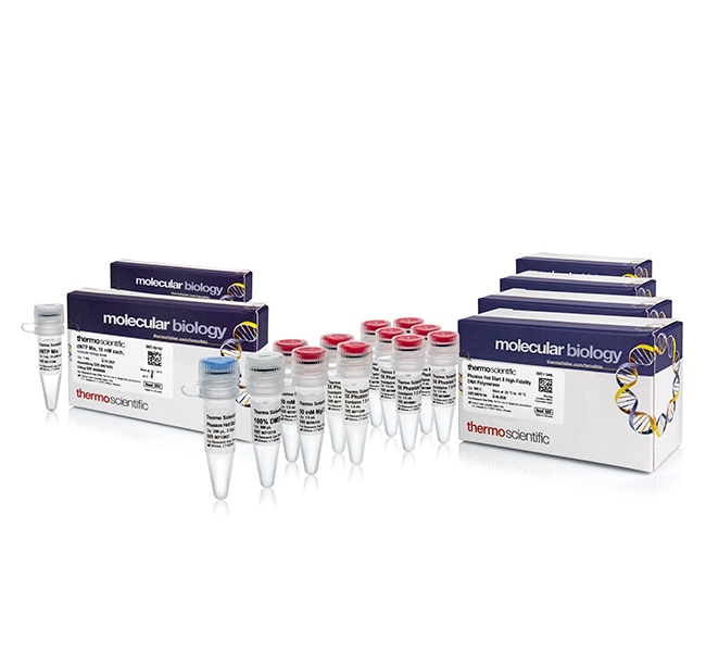 Phusion&trade; 热启动 II DNA 聚合酶和 dNTP 混合物（每种10 mM ）