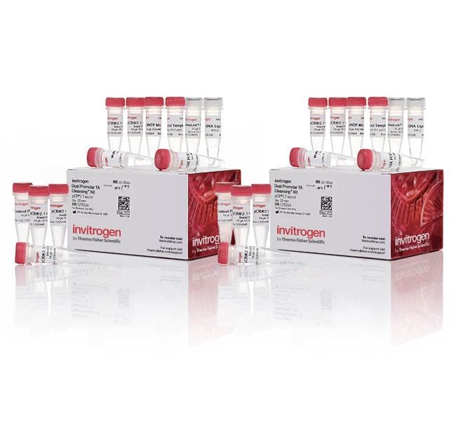 TA Cloning &trade;试剂盒，双启动子，含 pCR&trade;II 载体，不含感受态细胞