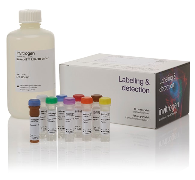 QuantiT™ RNA Assay Kits and QuantiT RNA HS Reagent