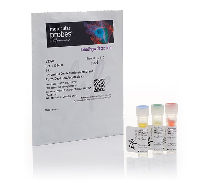 配有 Hoechst 33342、YOPRO™1 和 PI 染料的染色质聚集 & 膜通透性死细胞凋亡试剂盒（用于流式细胞分析）