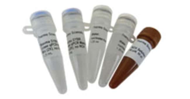 Maxima SYBR Green/ROX qPCR 预混液 (2X)