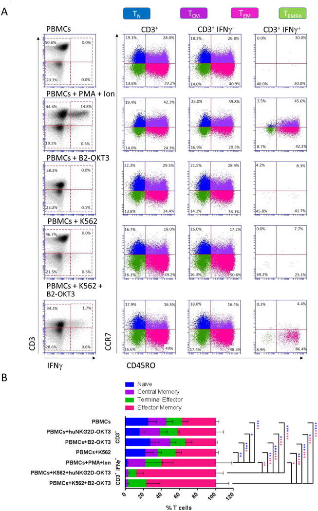 CD3 Antibody, Alexa Fluor® 488 (53-0037-42)