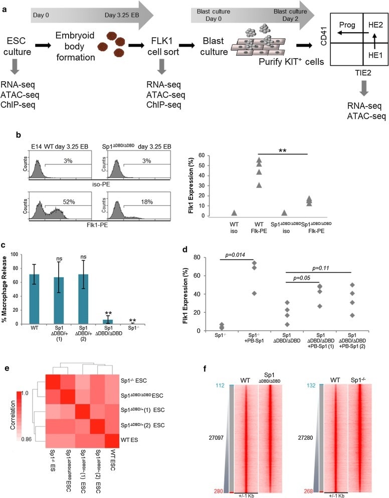 CD41a Antibody (14041982)